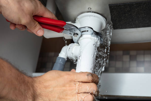  North Riverside, IL Water damage restoration Pros