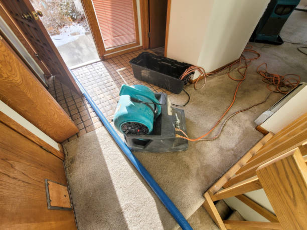 Best Residential water damage restoration  in North Riverside, IL