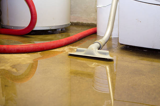Best 24/7 water damage repair  in North Riverside, IL