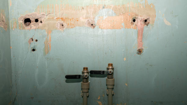 Water damage restoration experts in North Riverside, IL